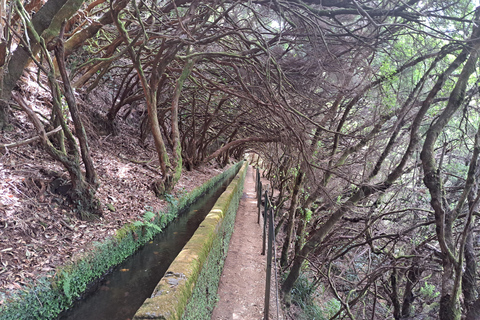 Madeira: Rabaçal, Risco and 25 Fontes Guided Hiking Tour