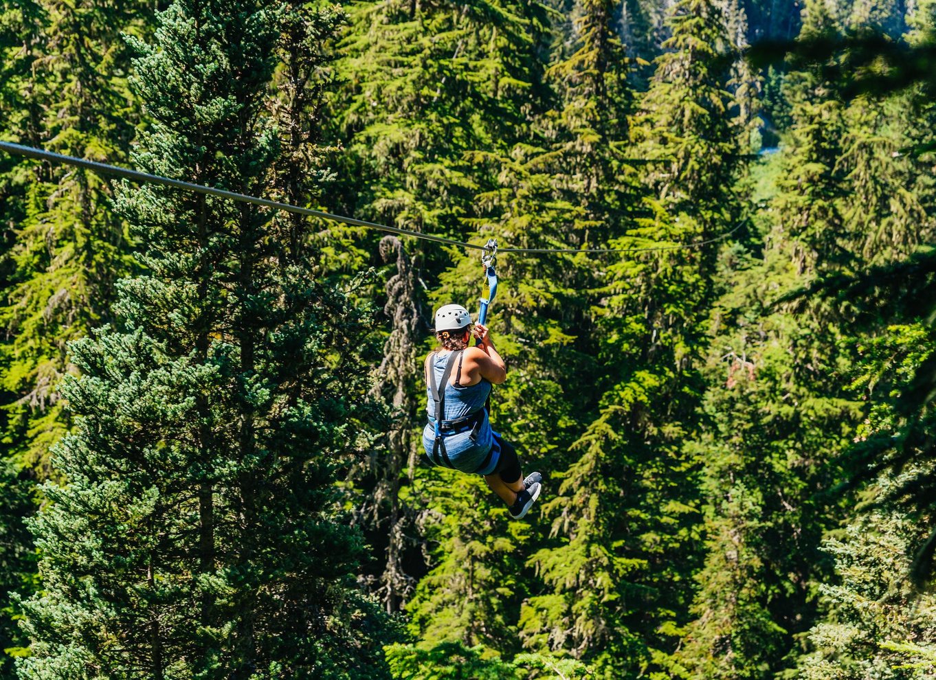 Whistler: Ziplining-oplevelse