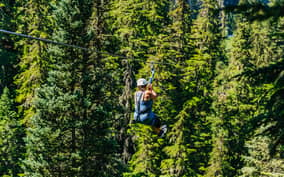 Whistler Zipline Experience: Ziptrek Eagle Tour