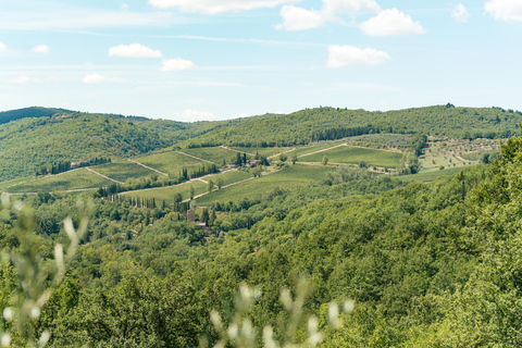 Florencja: wycieczka po winnicach Chianti z degustacją potraw i winaWycieczka grupowa w języku angielskim