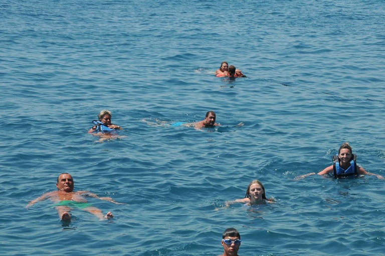Side: Dolphin Island Boat Tour with Lunch & Unlimited Drinks Dolphın Island Boat Tour No Transfer