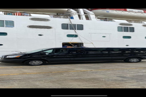 Orlando: Port Canaveral Transfer Service Round trip SUV