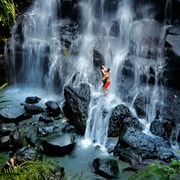 Ubud: Waterfall, Temple & Rice Terrace Private or Group Tour Ubud: Waterfall, Temple & Rice Terrace Private or Group Tour