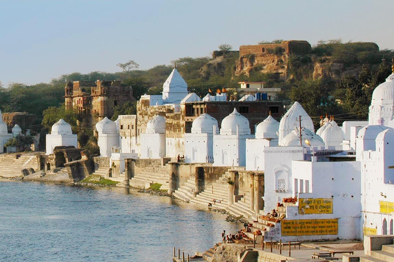 From Agra: Chambal River Safari with Bateshwar Temple Visit