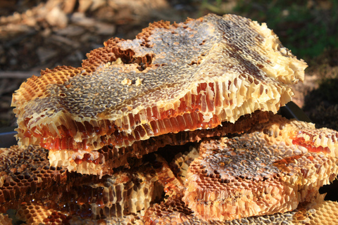 Batumi: Sweet Excursion and Mtirala Forest