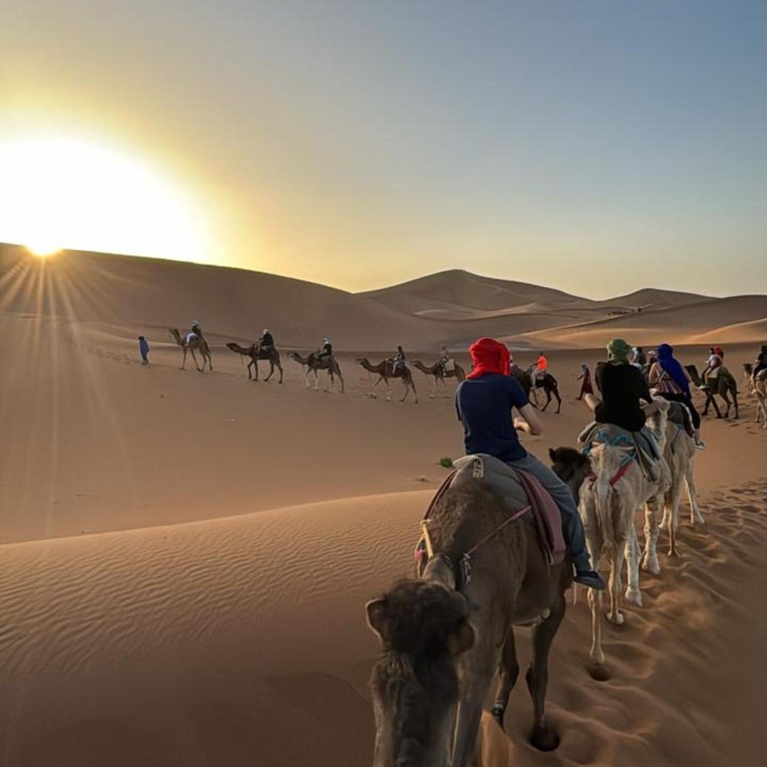 Foum Zguid : excursion d'une nuit dans le désert de l'Erg Chegaga avec chameaux
