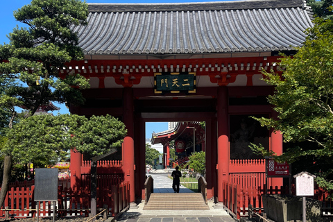 Tour privato di Tokyo di un giorno in auto con autista inglese