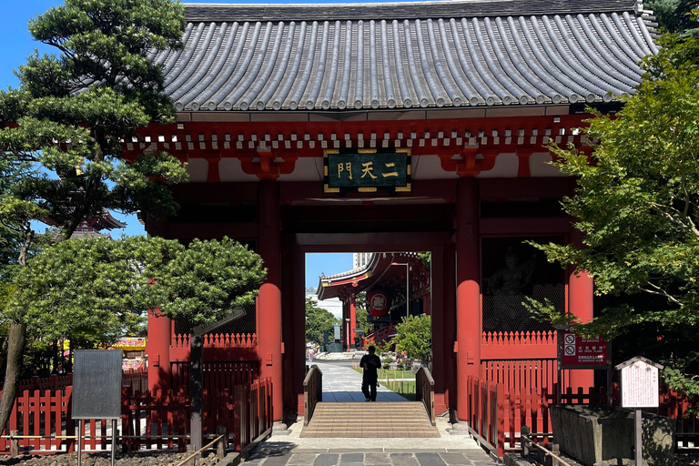 Tour privato di Tokyo di un giorno in auto con autista inglese