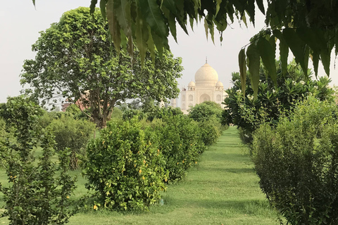 Från Delhi: - Tajmahal och Agra fort Tour med lunch