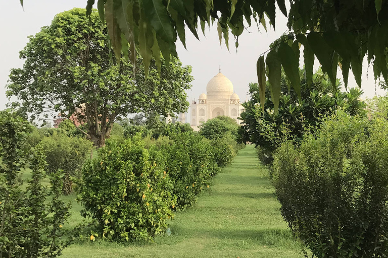 Z Delhi: – Wycieczka do Tajmahal i fortu Agra z lunchem