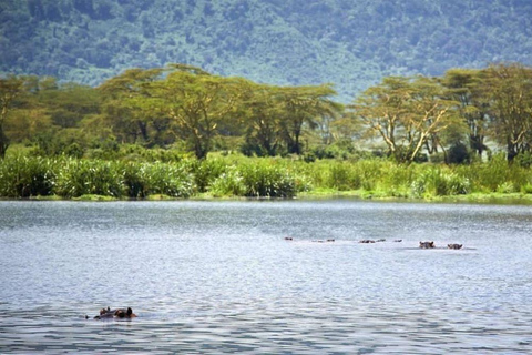 Nairobi : visite en groupe du parc national de Hell&#039;s Gate et du lac Naivasha