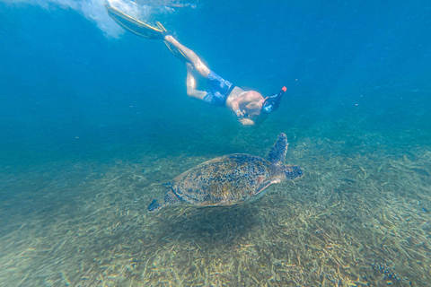 Koh Tao: Snorkel with Turtles at Nangyuan with Fewer Crowds