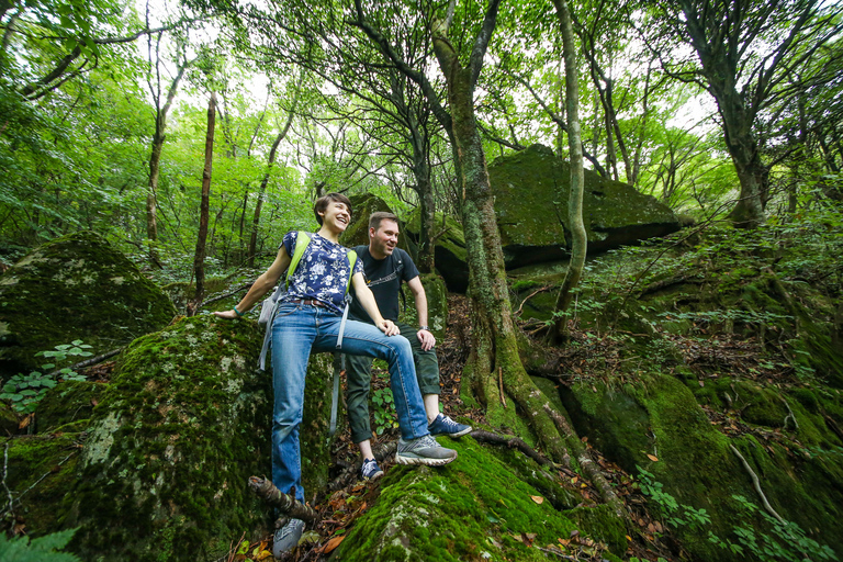 Hiroshima: Wanderung auf den Mt. Omine &amp; Panoramablick mit Kaffee