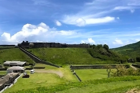 Grupo de excursão de meio dia em Basseterre