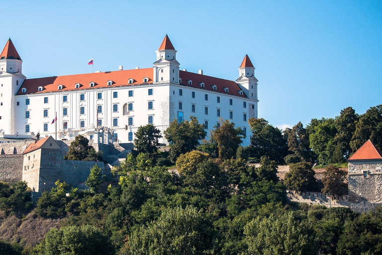 Vienna: Guided Small Group Day Trip to Bratislava & Budapest Default option