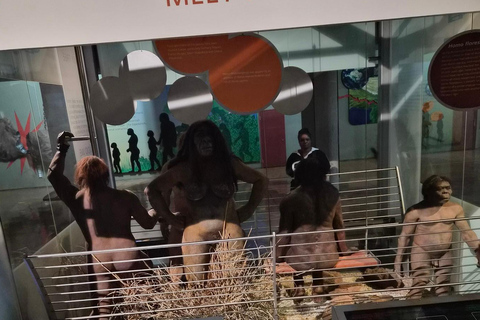Johannesburg: Cradle Of Humankind & Fossil Discovery Tour