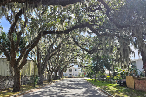 St. Augustine: Hop-on Hop-off Trolley Tour with Museum Entry 1-Day Hop-on Hop-off Trolley Tour with Museum Entry