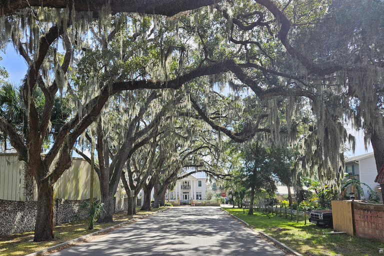 St. Augustine: Hop-on Hop-off Trolley Tour with Museum Entry 1-Day Hop-on Hop-off Trolley Tour with Museum Entry