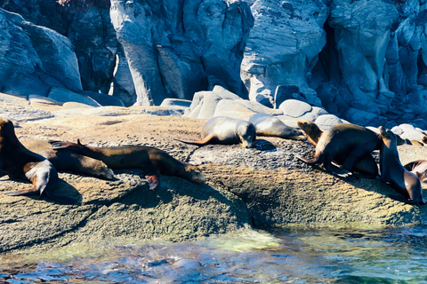 Coronado Island and Snorkel Tour