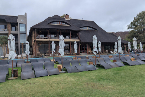 Cape Town Big 5 afternoon safari with lunch and transport