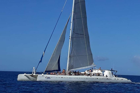 Inoubliable aventure de plongée en apnée sur l&#039;île de Catalina