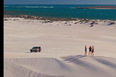 Perth: 2-Day Pinnacles, Sea Lions, and Seafood Tour