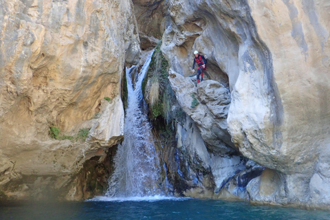 Granada & Malaga: Río Verde Canyon, Turquoise Water Jumps Private Tour