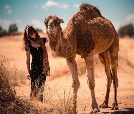 Visit Cappadocia Camel Safari with Transfer in Kayseri, Turkey