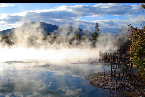 From Auckland: Rotorua Lakes, Redwood & Geothermal Day Trip