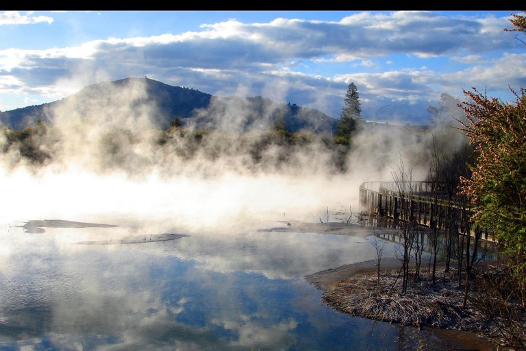 From Auckland: Rotorua Lakes, Redwood & Geothermal Day Trip