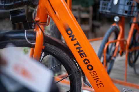 Paje: Full-Day Bike Rental with Helmet and Lock