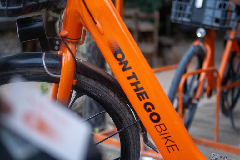 Paje: Full-Day Bike Rental with Helmet and Lock