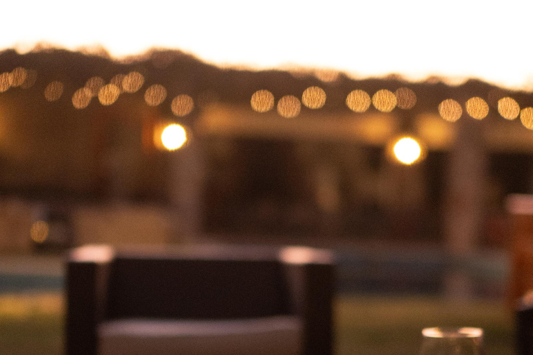 Santiago: Vinicola Monteluz Sunset Party Experience 360