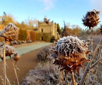 Kelso: Floors Castle Winter Gardens Toegangbewijs