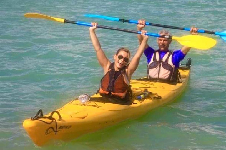 Airlie Beach: excursão de meio dia para observação de tartarugas e aventura de caiaque no mar