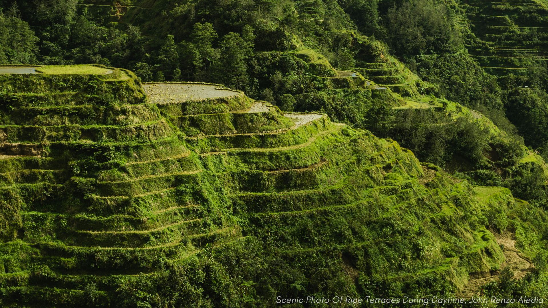 Reisterrassen von Banaue und Batad: Kulturelles Eintauchen und Trekking