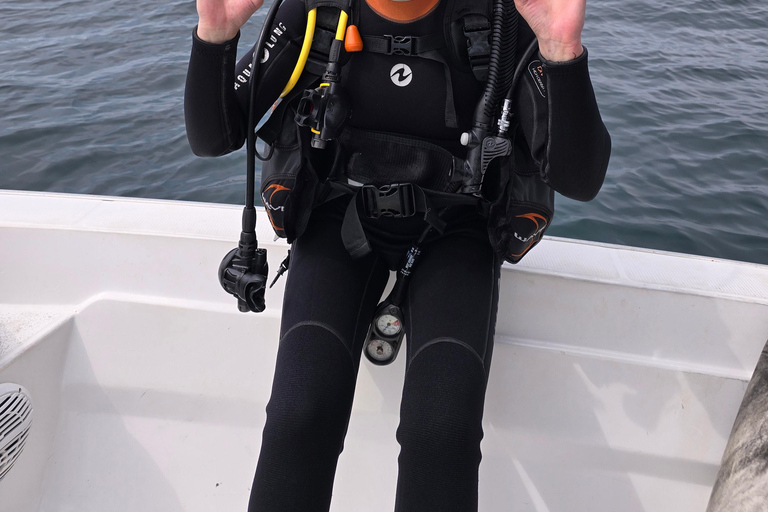 Excursions de plongée avec masque et tuba dans les îles Daymaniyat