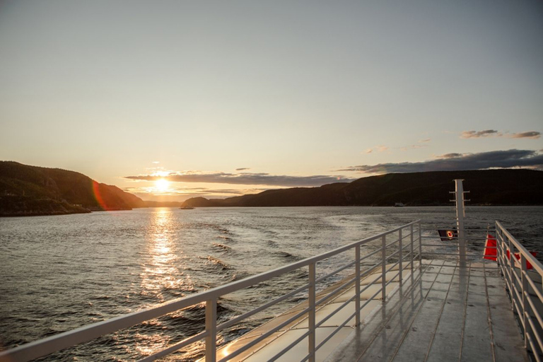 Tadoussac or Baie-Sainte-Catherine: Whale Watching Boat Tour Standard Cruise from Tadoussac