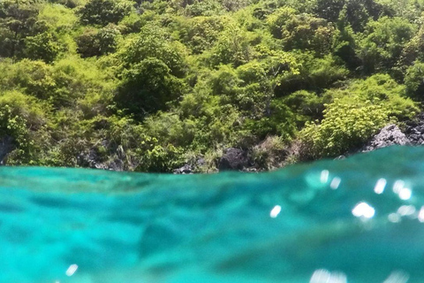 Från Phi Phi : Maya Bay Longtail båttur