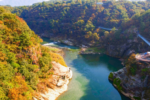 Hantan Canyon & Goseokjeong Flower Garden & Pink Muhly Park Depart from Hongik Univ. Station Exit 4