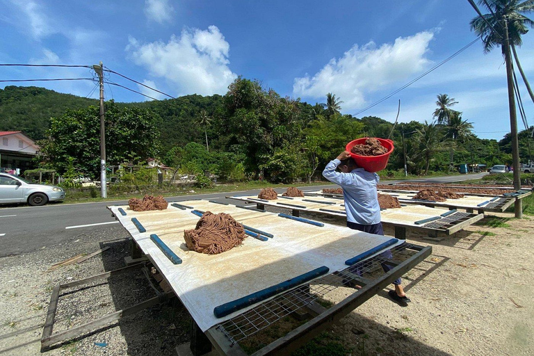 Penang: Balik Pulau Kulturerlebnis &amp; DorftourPenang: Kulturelle Erlebnisse in Balik Pulau &amp; Dorftour