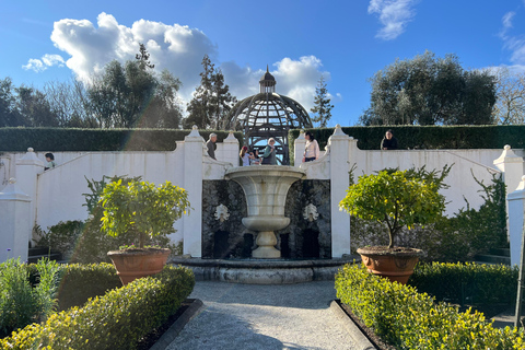 GROTTES DE RUAKURI ET JARDINS DE HAMILTON - Excursion d&#039;une journée au départ d&#039;AucklandGROTTES DE RUAKURI ET JARDINS HAMILTON - Excursion d&#039;une journée au départ d&#039;Auckland