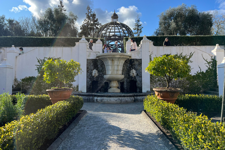 GROTTES DE RUAKURI ET JARDINS DE HAMILTON - Excursion d&#039;une journée au départ d&#039;AucklandGROTTES DE RUAKURI ET JARDINS HAMILTON - Excursion d&#039;une journée au départ d&#039;Auckland