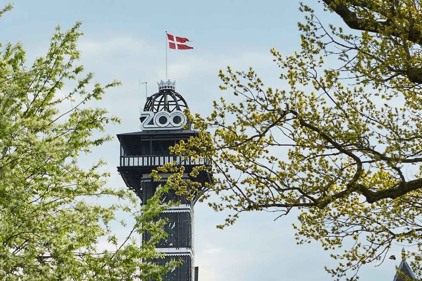 Copenhagen: Copenhagen Zoo Tower Entry Ticket