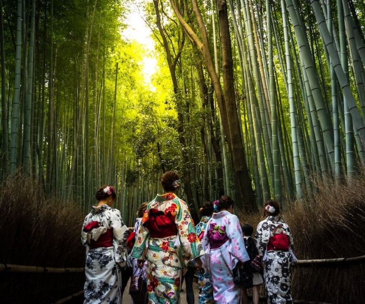 Arashiyama Tour with Kimono Rental