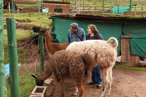 Zoo: Animal Sanctuary and Condor Flight in Cusco Cochawasi Zoo Flight of the Condor Presence of the Puma