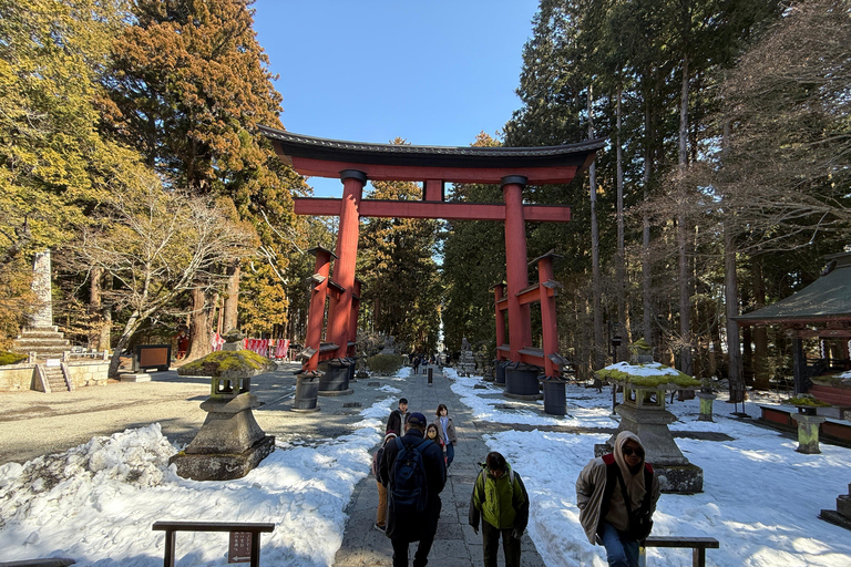 Tokyo: Mt Fuji A Journey Through Nature, History & Culture Tokyo: Mt Fuji A Journey Through Nature, History, & Culture