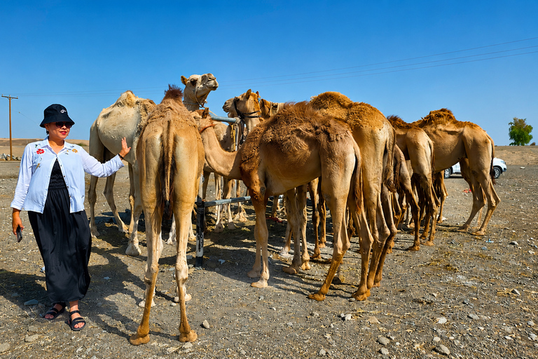 Muscat: Visit Sinaw Market, Izki Village, & Jarnan Cave Tour