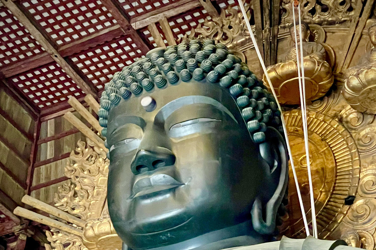 Kyoto/Osaka: Kyoto&Nara Private Customized Guided Tour