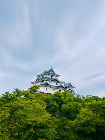 Private Highlights von Wakayama und Kōya-san mit englischsprachigem Fahrer